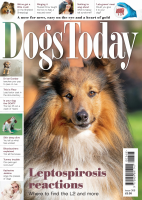 Dogs_Today_UK_I368_2025_.pdf